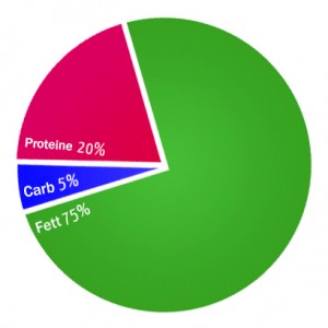 ketogene diät kuchengrafik