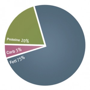 ketogene Diät Kuchengrafik, auch Carbs sind wichtig