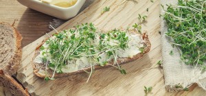 ketogene rezepte brot