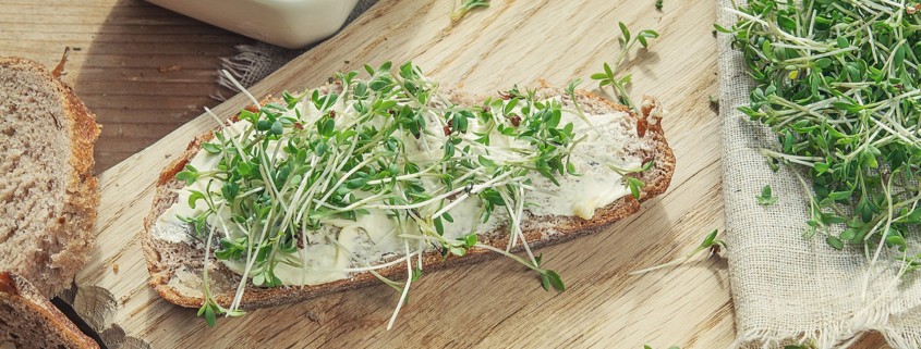 ketogene rezepte brot